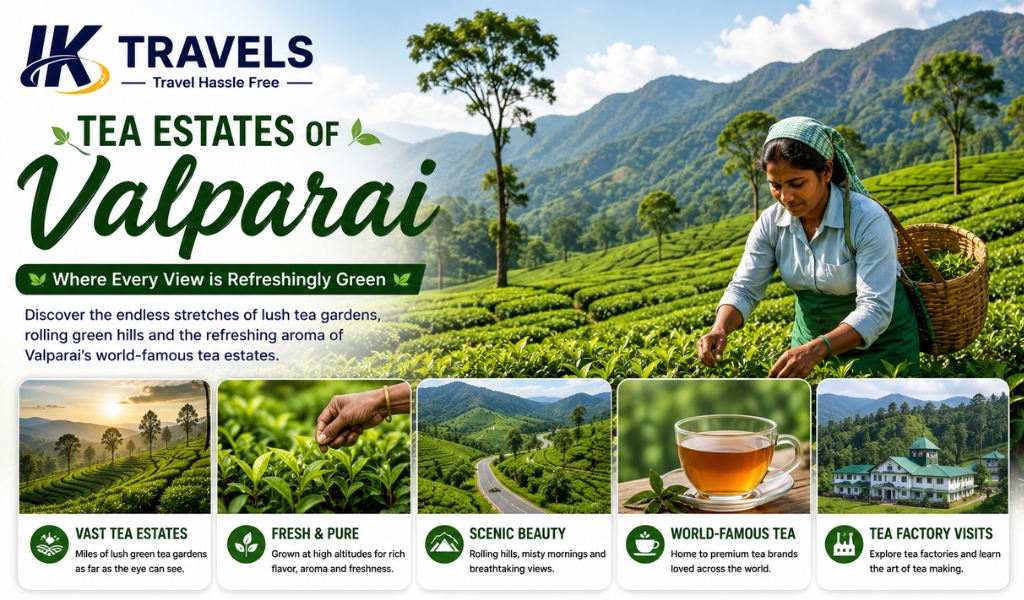 Places to Visit in Valparai
ik travels